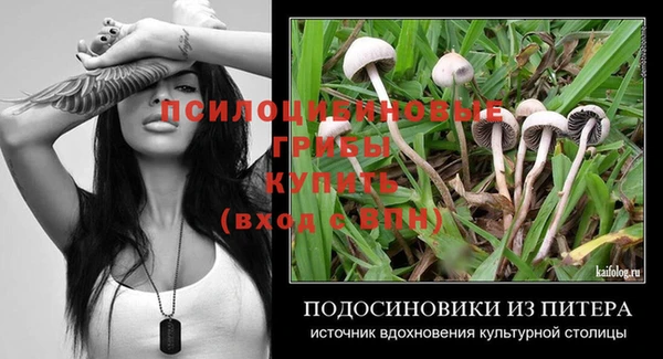 тгк Билибино