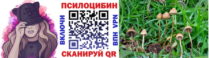 Галлюциногенные грибы Cubensis  Ленинск 